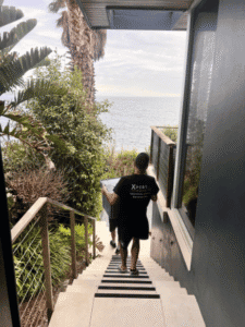 removalist maroubra beach